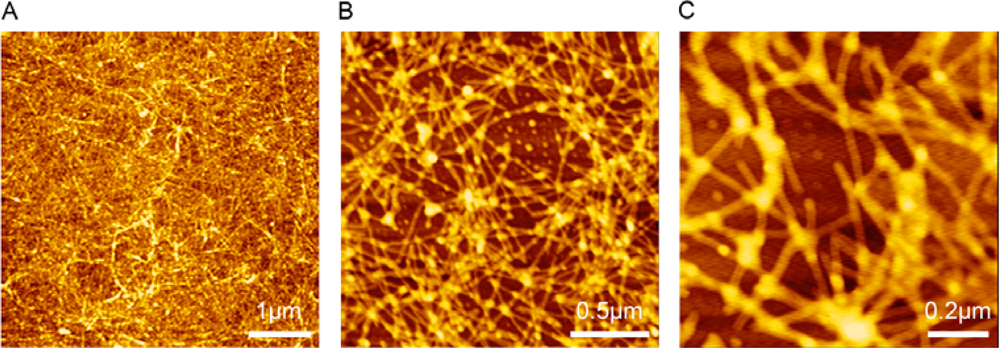 Ijms 10 02136f2