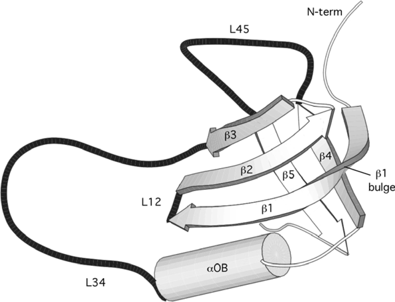 Ijms 10 02412f1