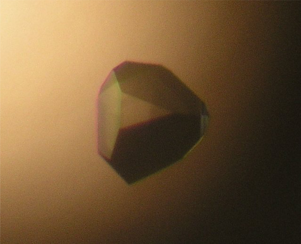 essay on x-ray crystallography essay on x-ray crystallography