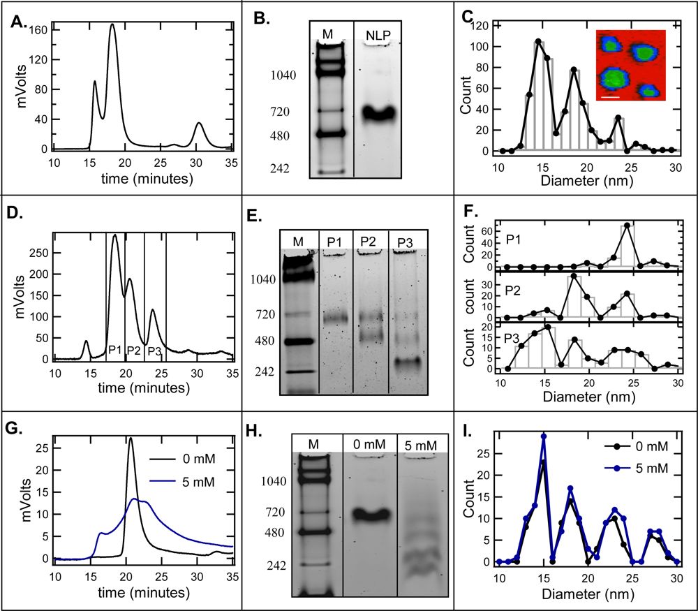 Ijms 10 02958f1