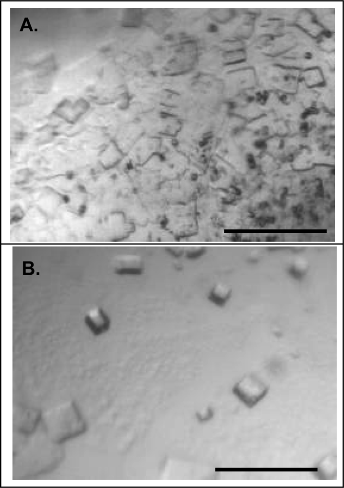 Ijms 10 02958f4