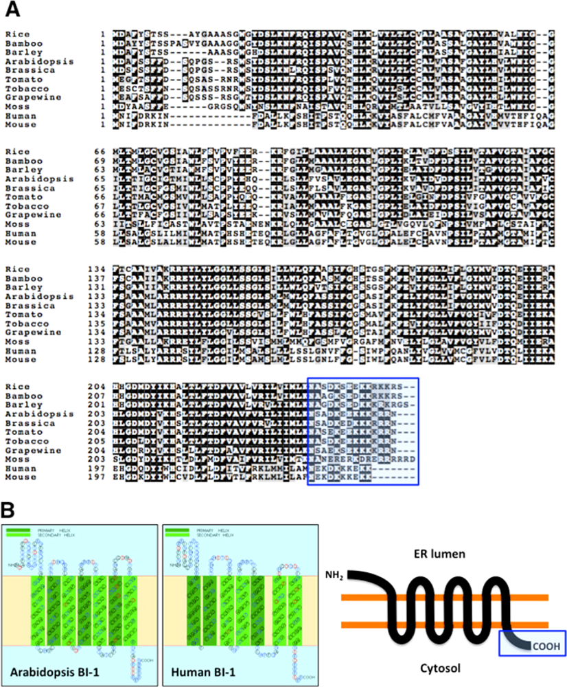 Ijms 10 03149f1 1024