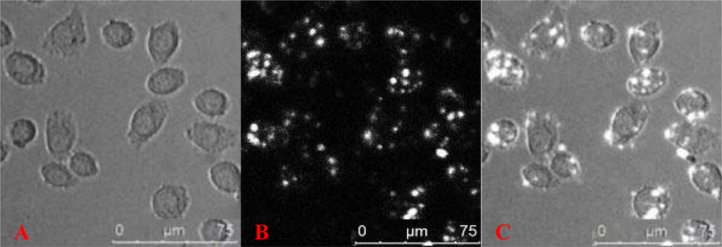 Ijms 10 04418f2 1024