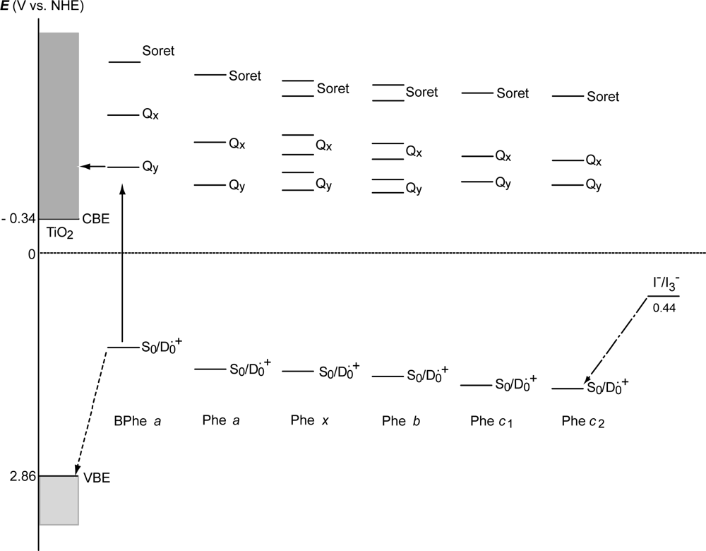 Ijms 10 04575f39