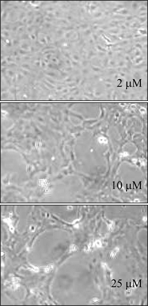 Ijms 10 05002f8
