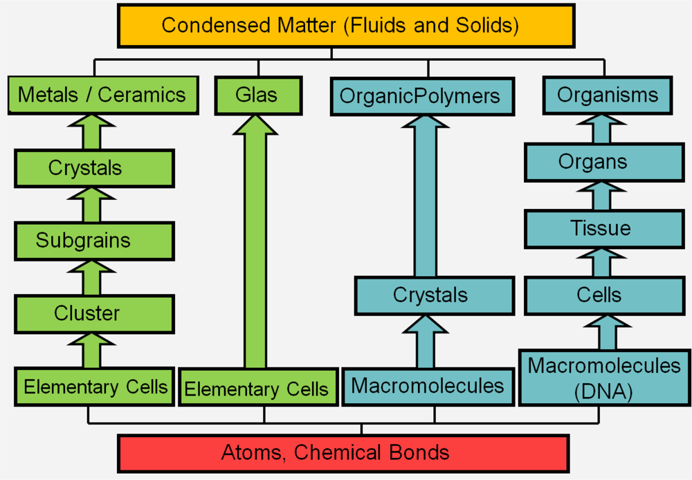 download ecologists and