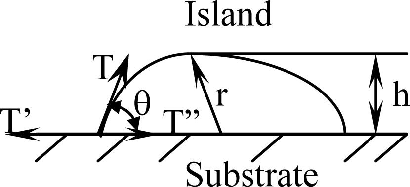 Ijms 10 05257f2