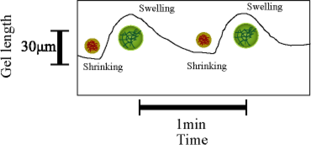 Ijms 11 00052f1 1024