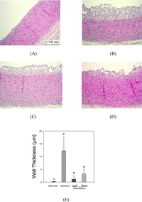 Ijms 11 00067f1 200
