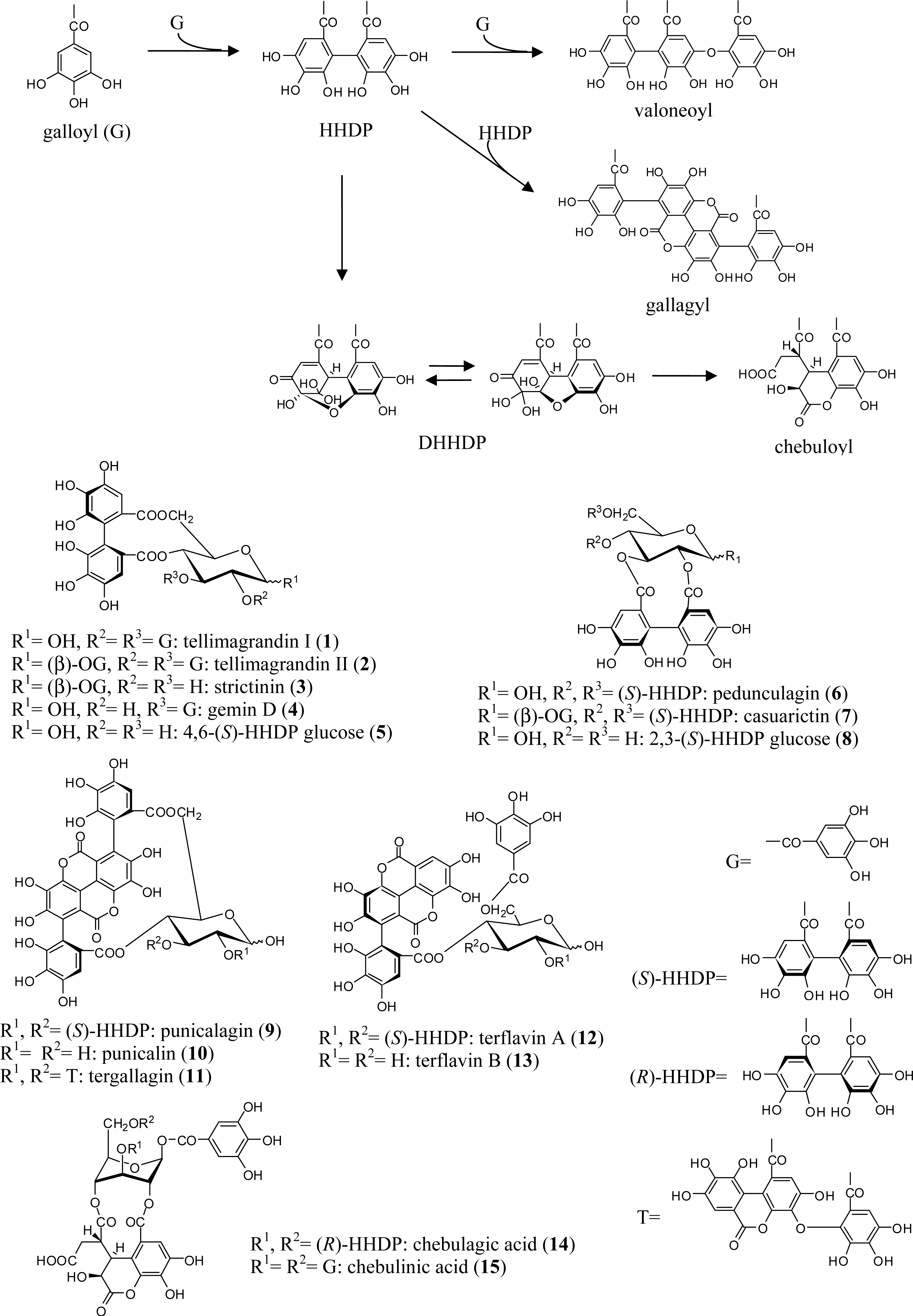 Ijms 11 00079f1