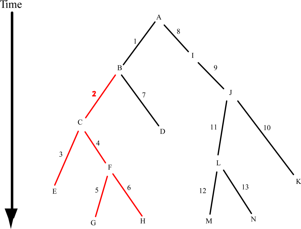 Ijms 11 00124f1