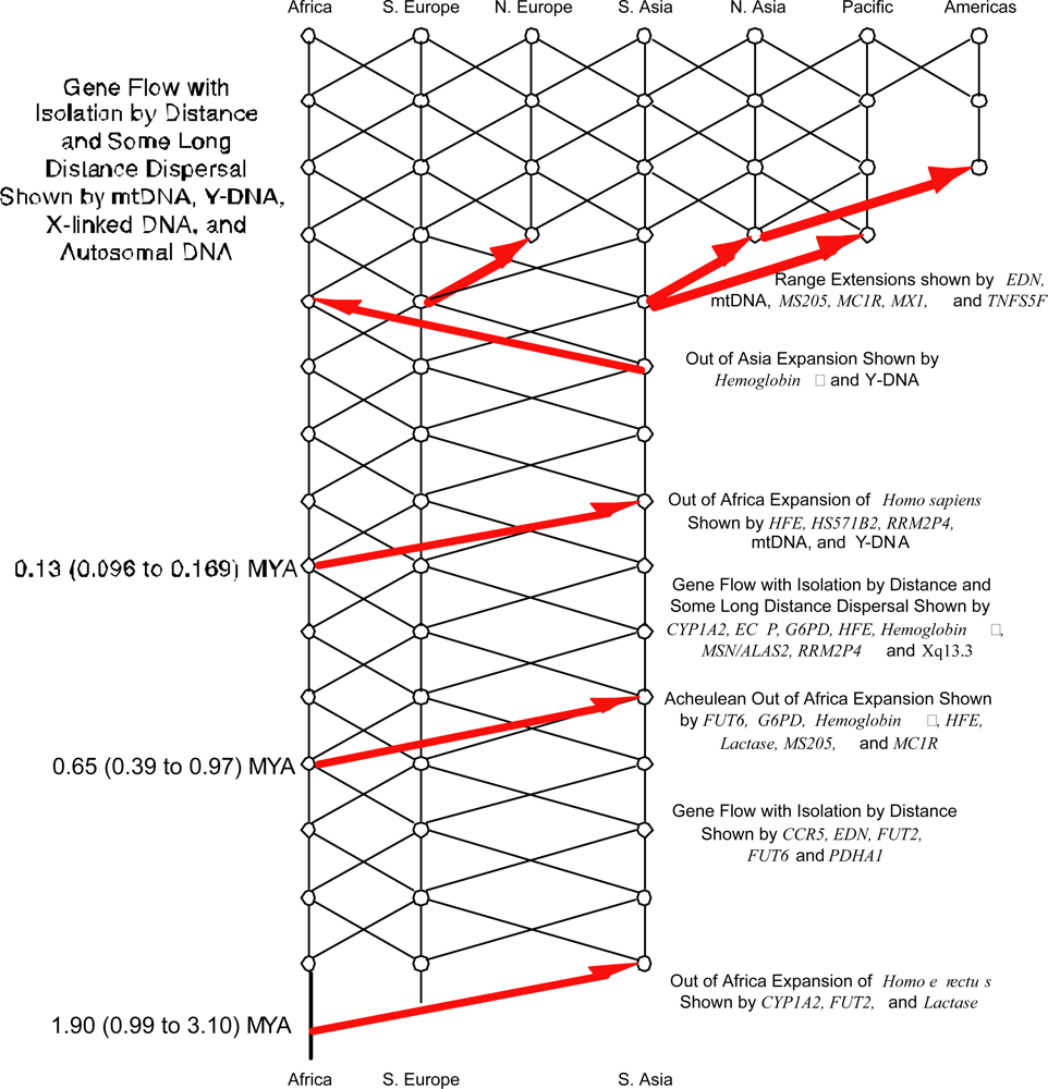 Ijms 11 00124f3
