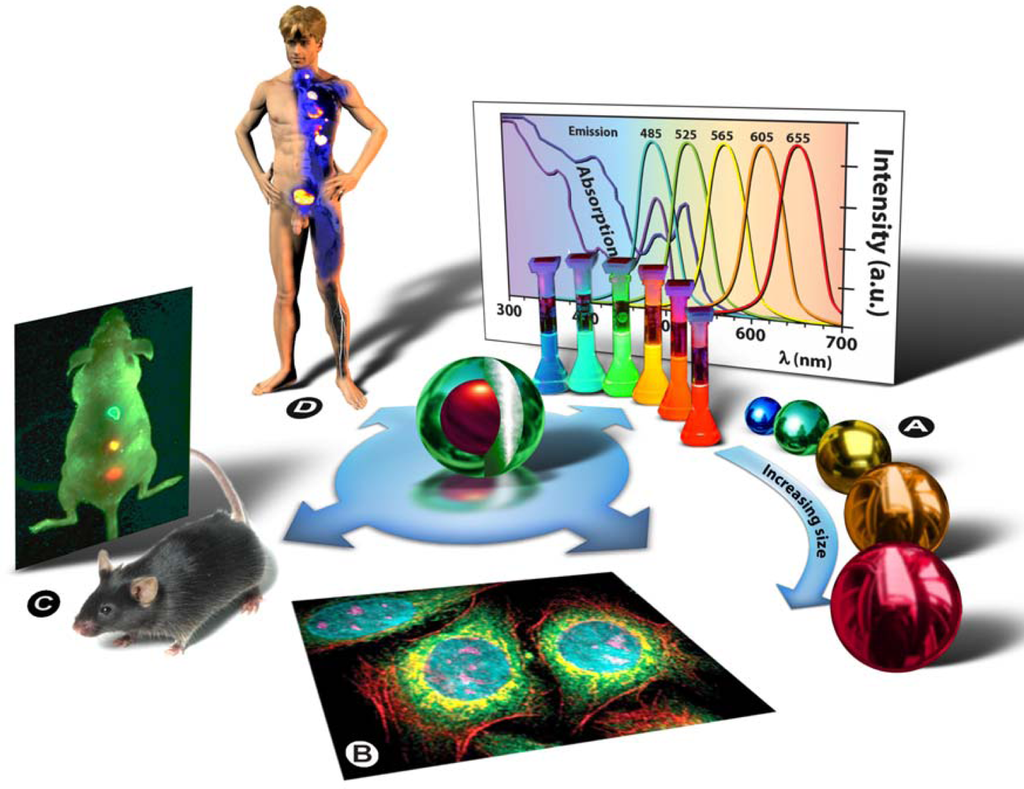 Help writing my paper the applications of fcm technology in three different diseases