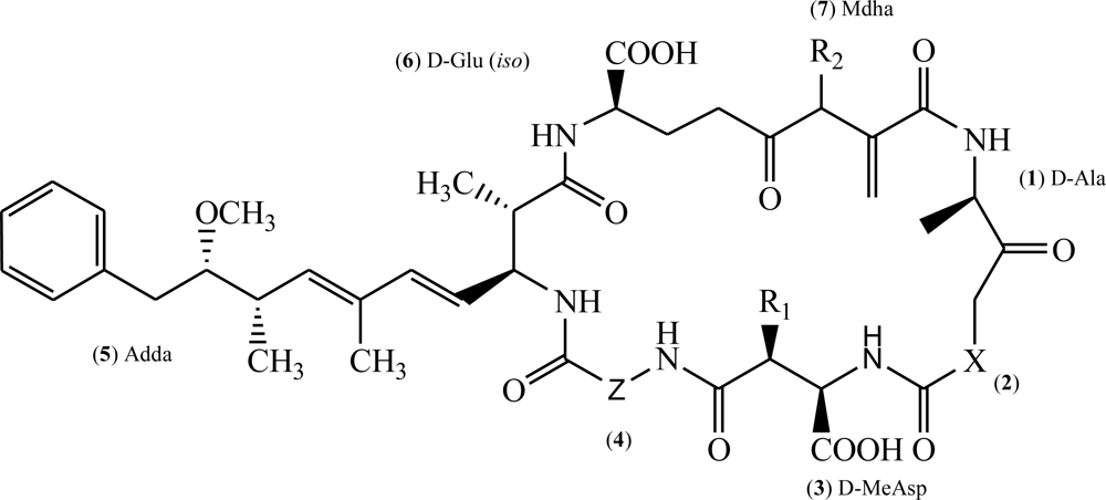 Ijms 11 00268f1