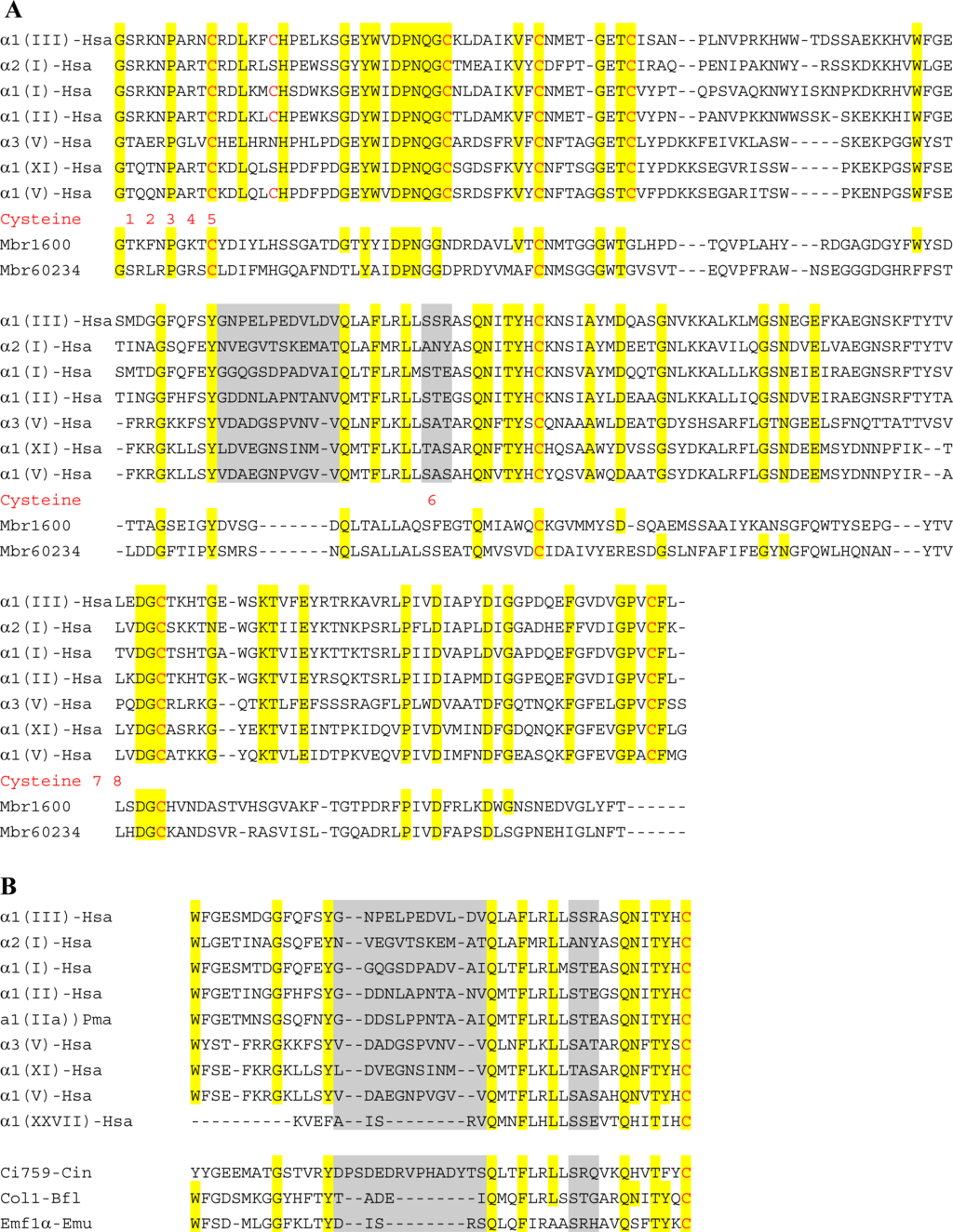 Ijms 11 00407f2 1024