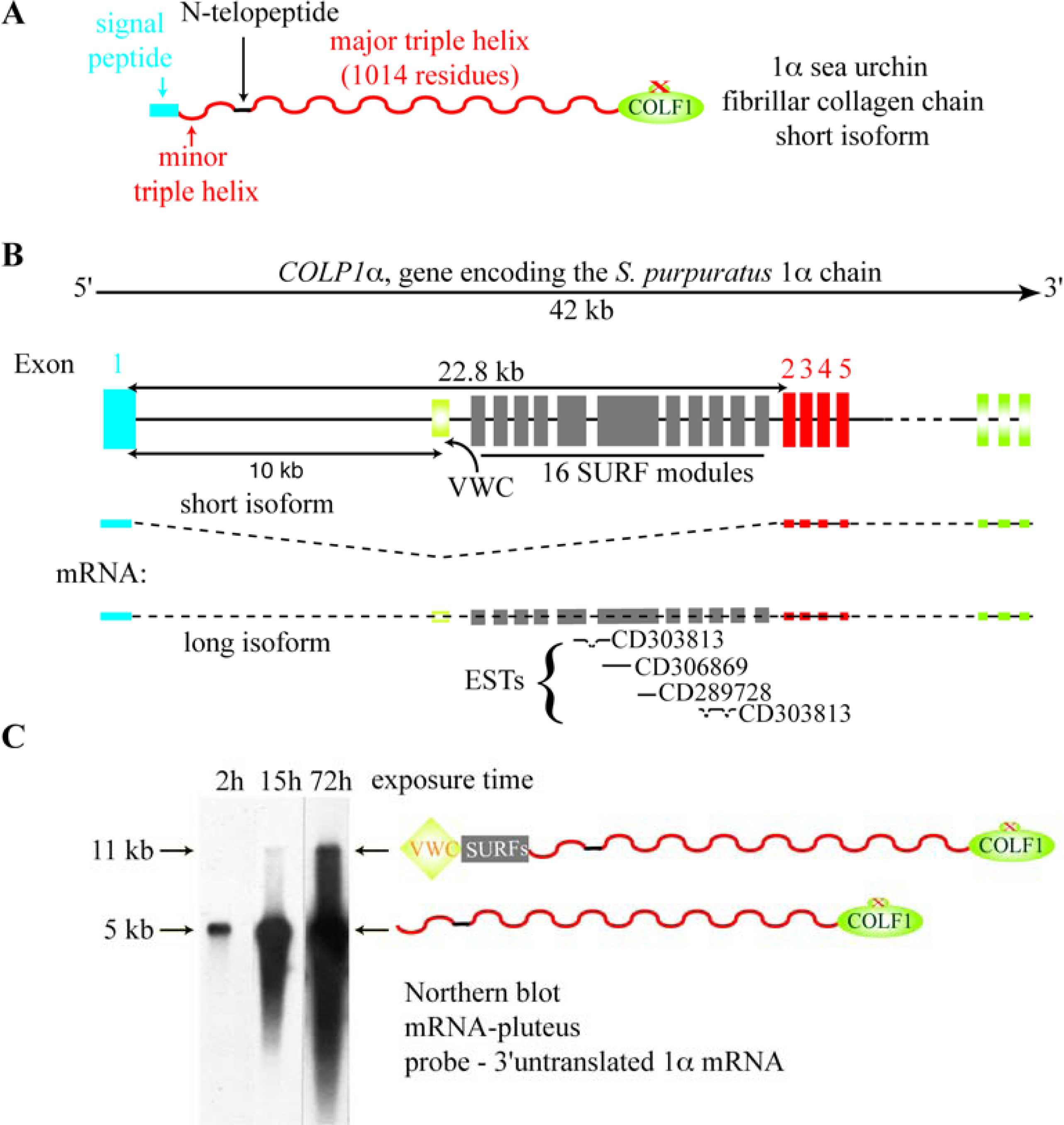 Ijms 11 00407f3