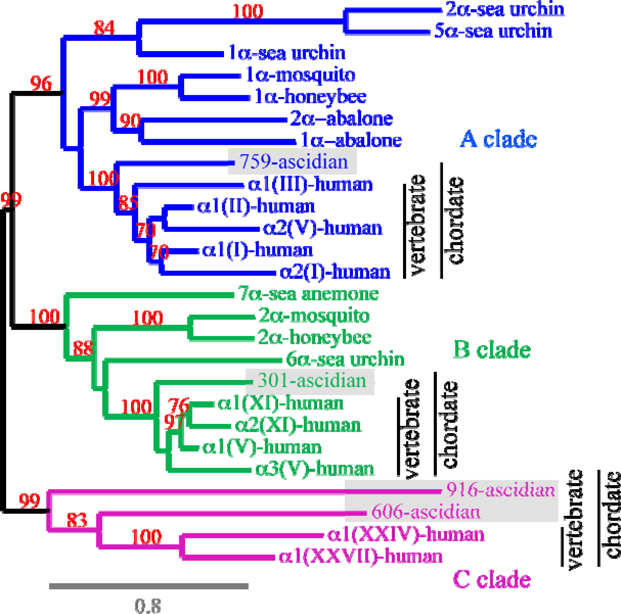Ijms 11 00407f5