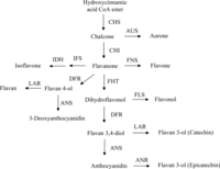 Ijms 11 00595f3 200