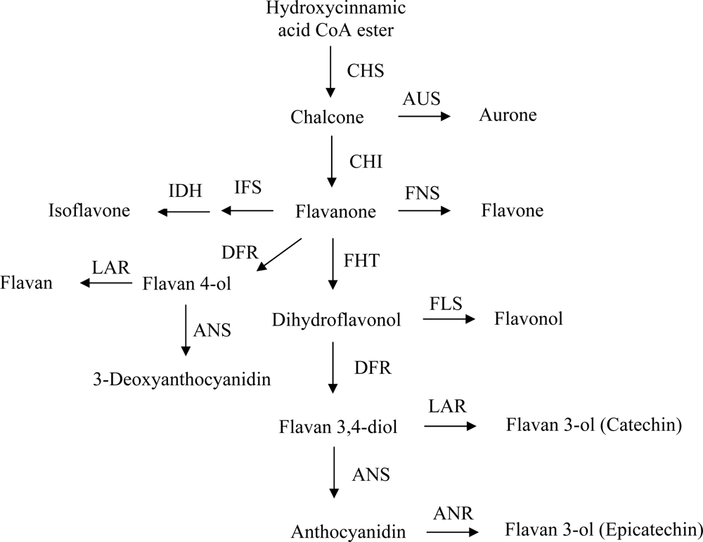 Ijms 11 00595f3