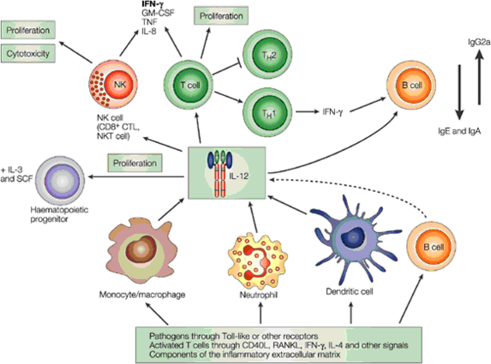 download bestimmungstabellen