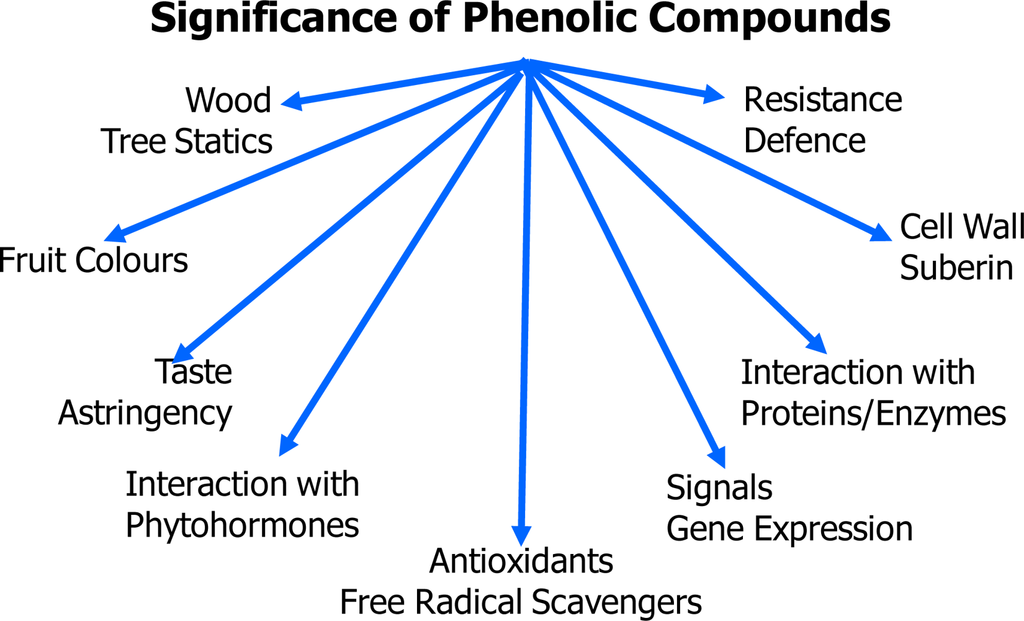 QUINTAIS IMORTAIS Managing Phenol Contents in Crop Plants by