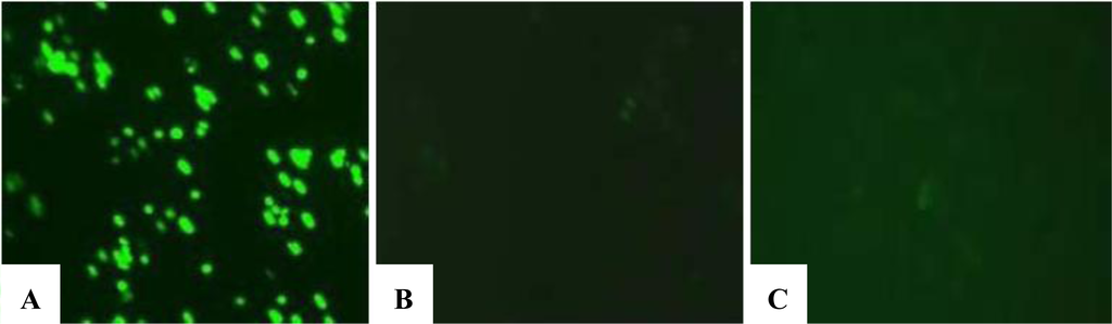 Ijms 11 01057f4 1024