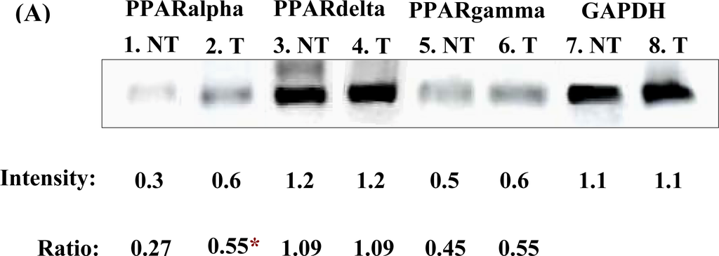 Ijms 11 01057f6a 1024