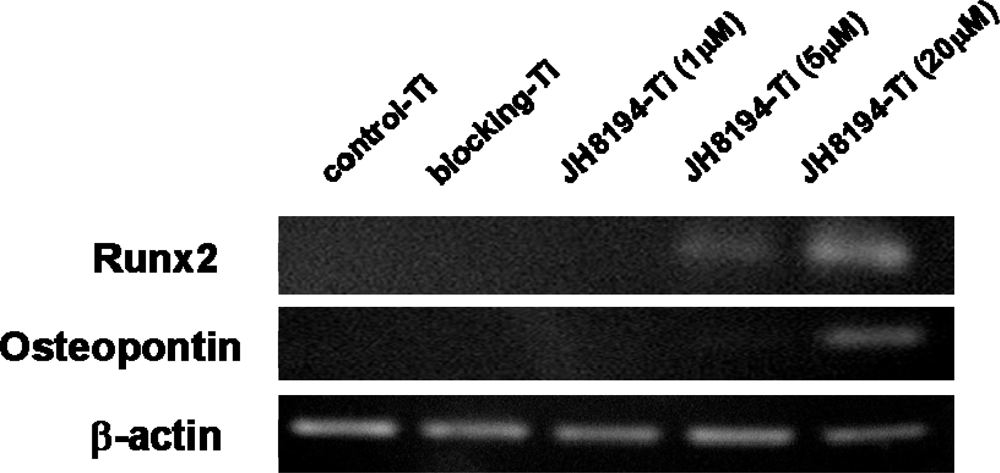 Ijms 11 01458f4 1024