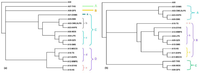 Ijms 11 02097f2 200