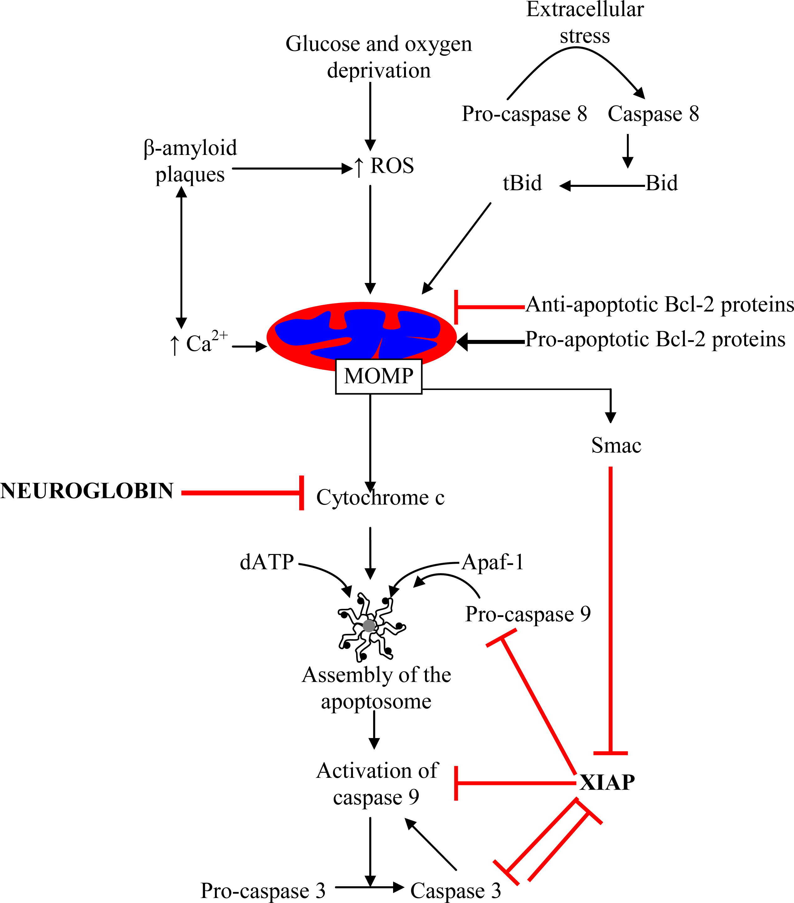 Ijms 11 02306f1