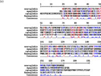 Ijms 11 02306f2 200