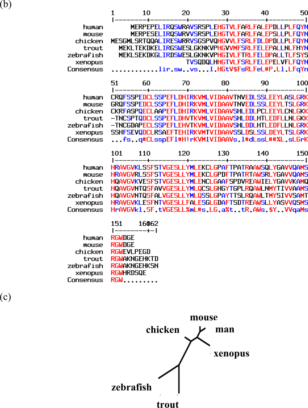 Ijms 11 02306f2a 1024