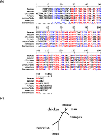 Ijms 11 02306f2a 200