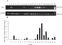 Ijms 11 02322f2 200