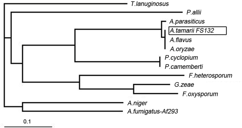 Ijms 11 02373f2