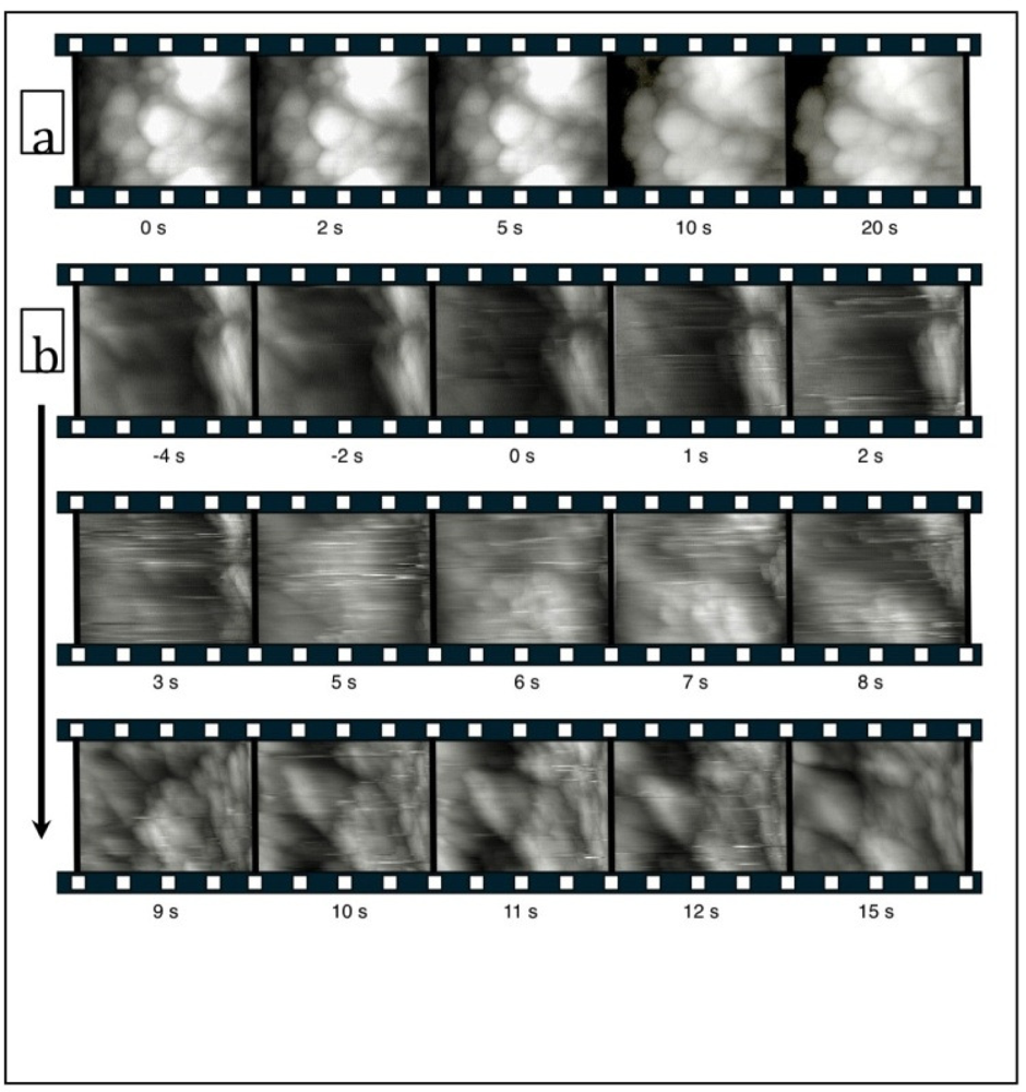 Ijms 11 02523f12 1024