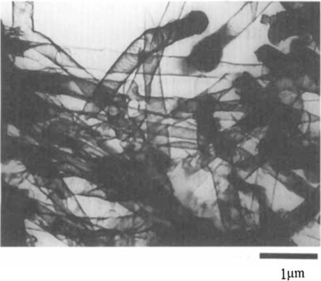 Ijms 11 02636f5 1024