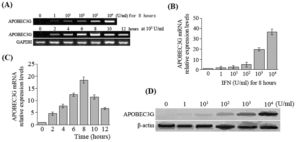 Ijms 11 03501f1