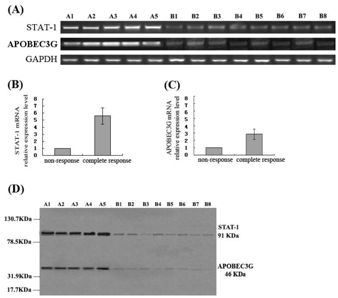 Ijms 11 03501f4