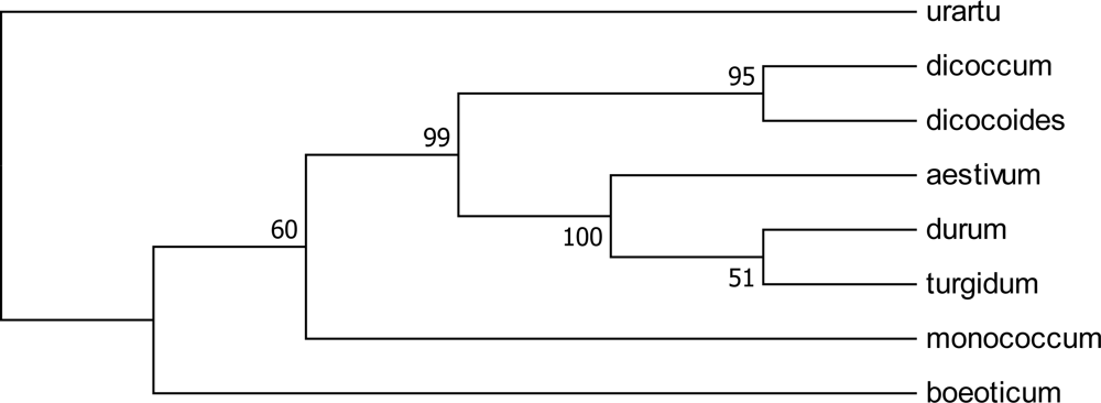 Ijms 11 04309f3 1024