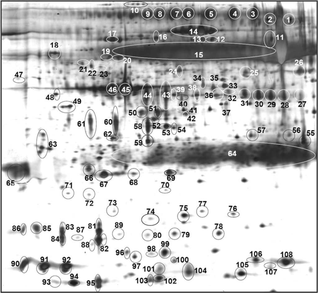 Ijms 11 04488f1 1024
