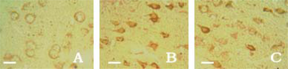 Ijms 11 04580f5 1024