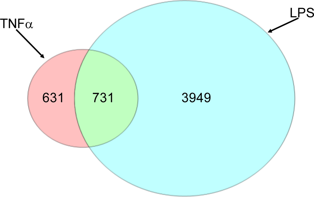 Ijms 11 04697f2 1024