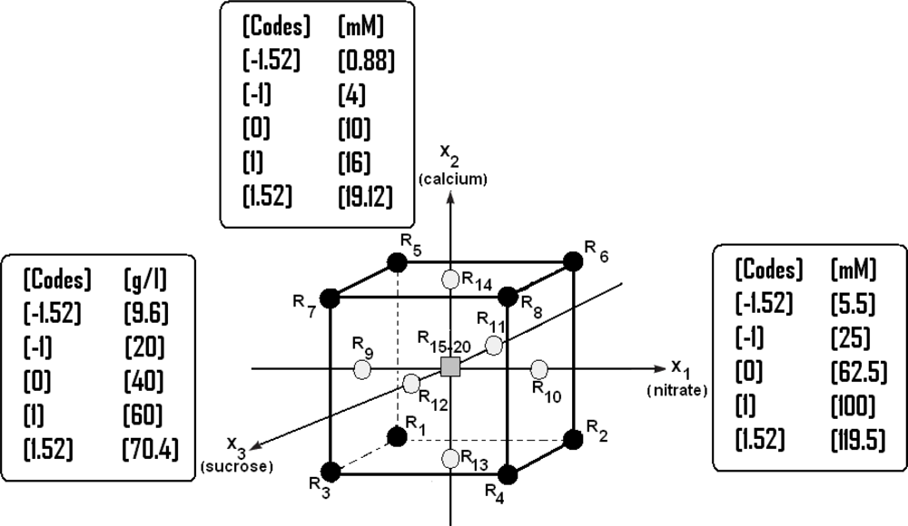 Ijms 11 04726f1 1024