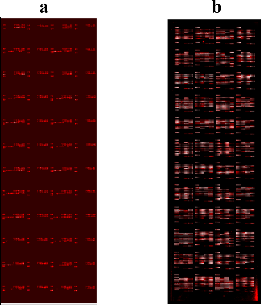 pathogen scanner Nucleic acid pathogen dipstick based on isothermal amplification and lateral flow dipstick detection simple scanner advantages of our approach self-contained. pathogen scanner Nucleic acid pathogen dipstick based on isothermal amplification and lateral flow dipstick detection simple scanner advantages of our approach self-contained.