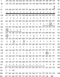 Ijms 11 05234f1b 200