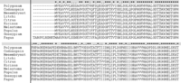 Ijms 11 05234f2 200