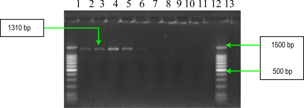 Ijms 11 05273f14 1024