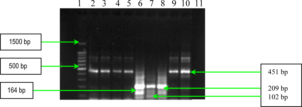 Ijms 11 05273f7 1024