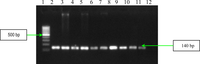 Ijms 11 05273f9 200